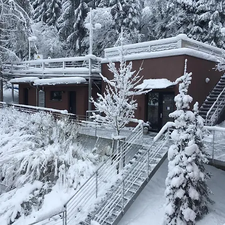 Apartmany Bella Vista Lipno Frydava Exterior photo