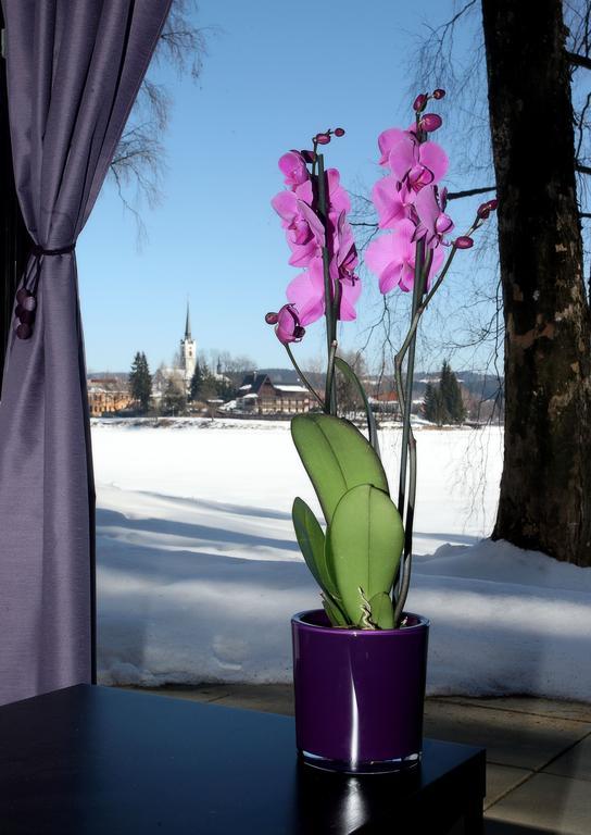 Bella Vista Lipno Frydava