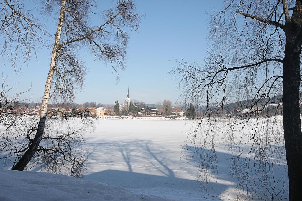 Apartment Bella Vista Lipno
