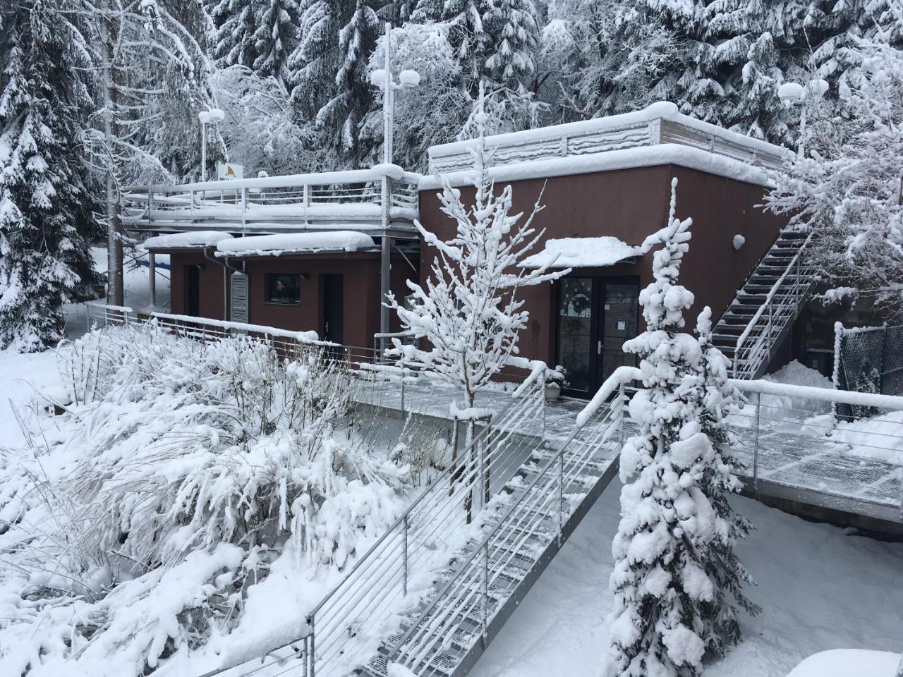Apartment Bella Vista Lipno *